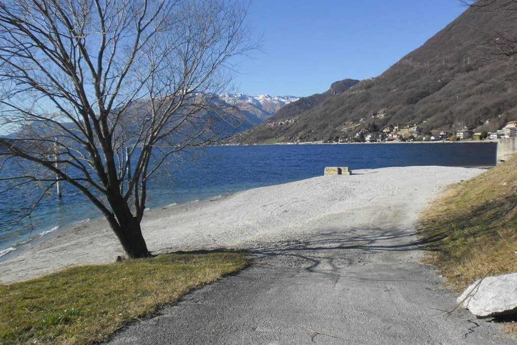 Favoloso Appartamento Fronte Lago, Gera Lario Zewnętrze zdjęcie