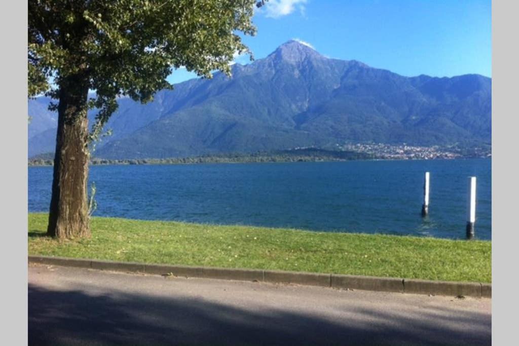 Favoloso Appartamento Fronte Lago, Gera Lario Zewnętrze zdjęcie